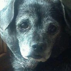 Meet your Posher, Joeleen